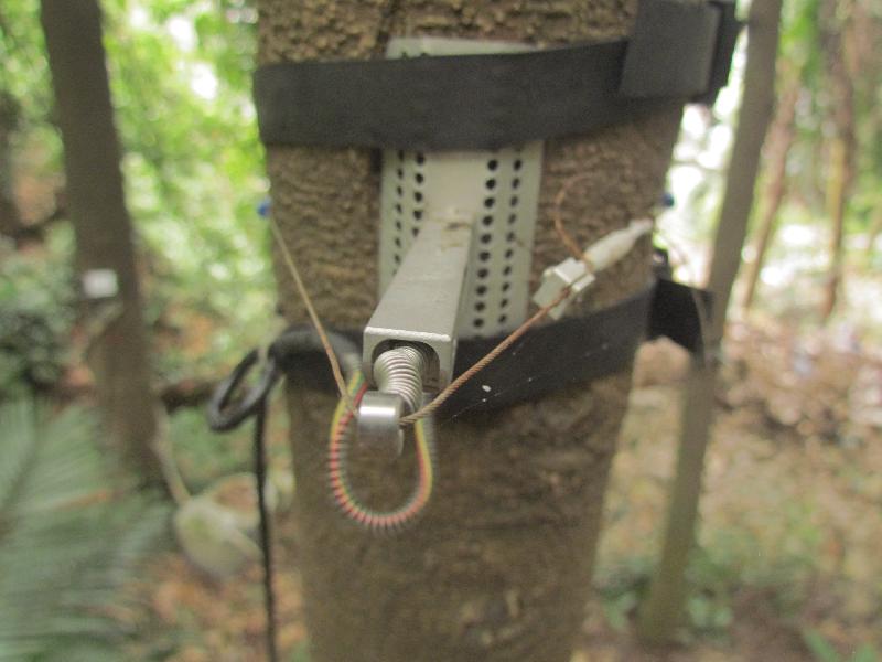 季风林每木监测系统