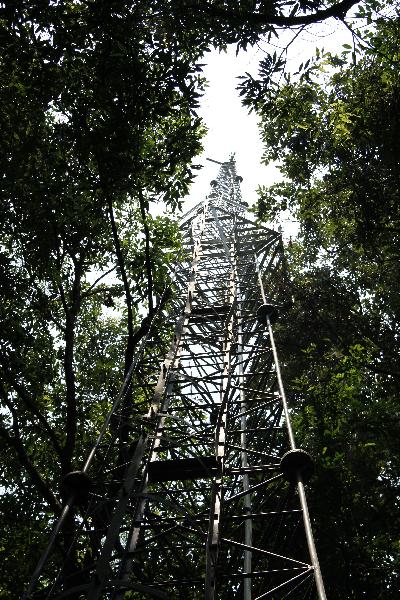 鸡公山 施氮塔