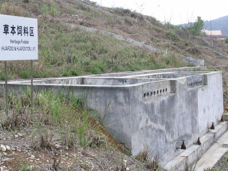 环江站坡地草本饲料辅助观测场人工径流池